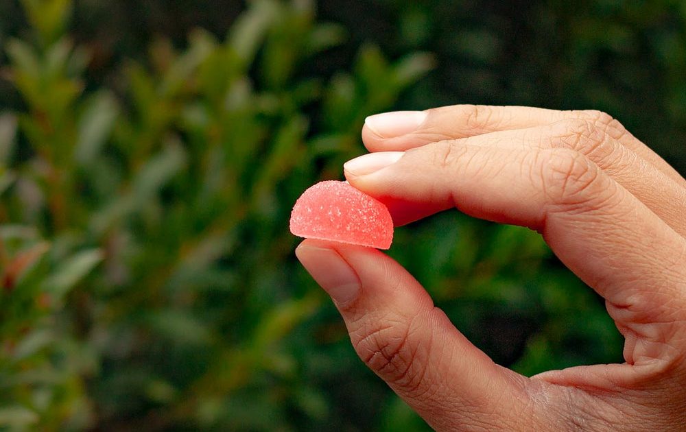 MontKush Review 2026: USDA-Organic, Solvent-Free Rosin CBD