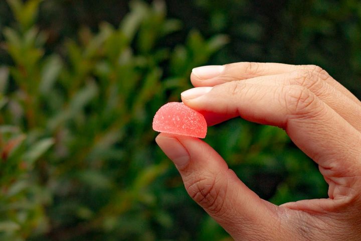 MontKush Review 2026: USDA-Organic, Solvent-Free Rosin CBD