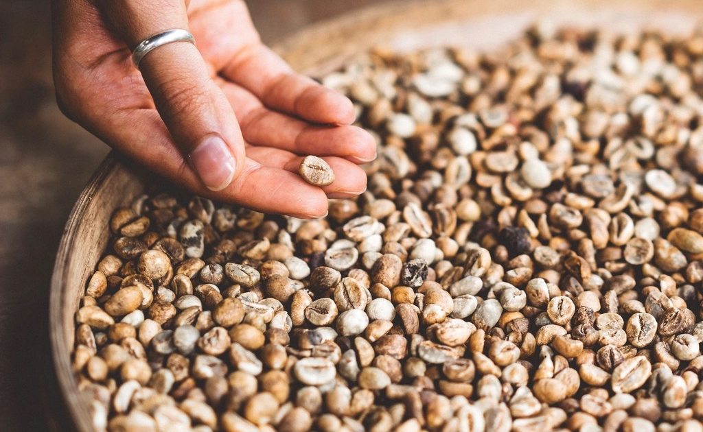 Green Coffee Bean Extract: Anatomy of a Fallen “Miracle”