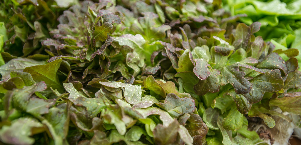 Potassium and Blood Pressure: The Mineral Most Diets Lack