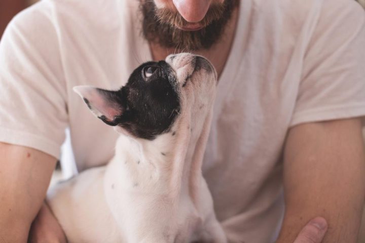 Pets and Stress: What the Evidence Says About Pet Ownership and Mental Health