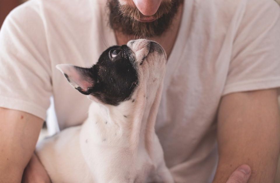 Pets and Stress: What the Evidence Says About Pet Ownership and Mental Health