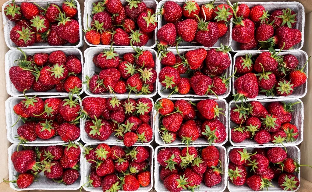 Seasonal Eating: Aligning Your Diet With What’s Actually in Season