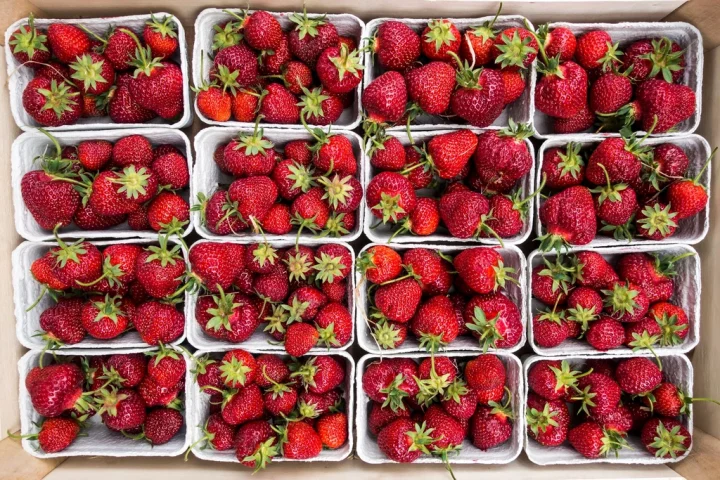 Seasonal Eating: Aligning Your Diet With What’s Actually in Season