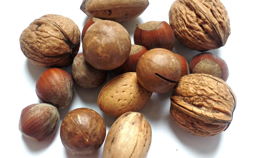 Selenium: The Overlooked Antioxidant Mineral Your Diet Might Be Missing