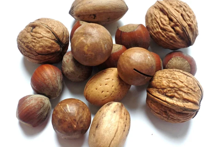 Selenium: The Overlooked Antioxidant Mineral Your Diet Might Be Missing