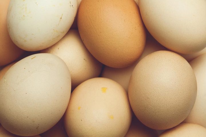 The Protein Leverage Hypothesis: Why Low-Protein Diets May Drive Overeating