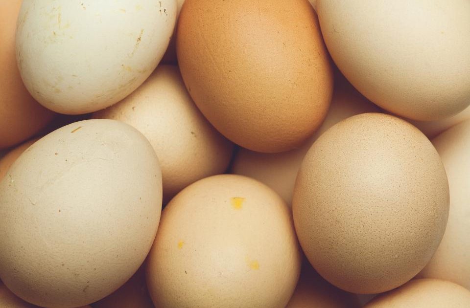 The Protein Leverage Hypothesis: Why Low-Protein Diets May Drive Overeating