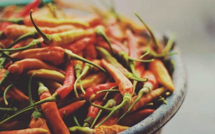 Thermogenic Fat Burners: Separating Evidence From Marketing