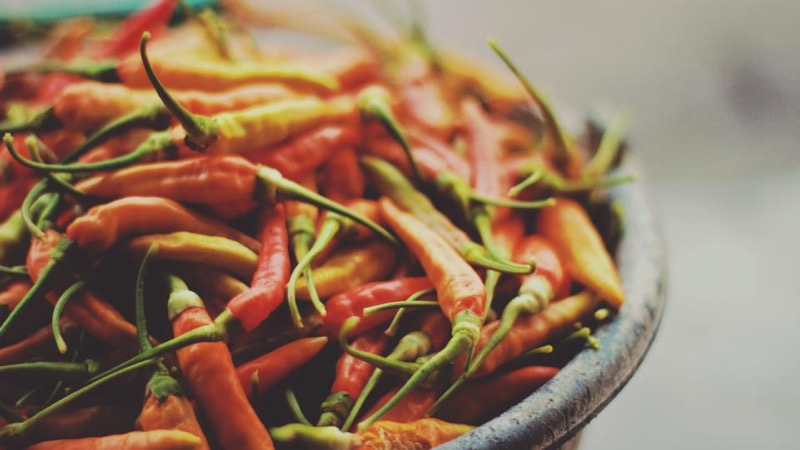 Thermogenic Fat Burners: Separating Evidence From Marketing
