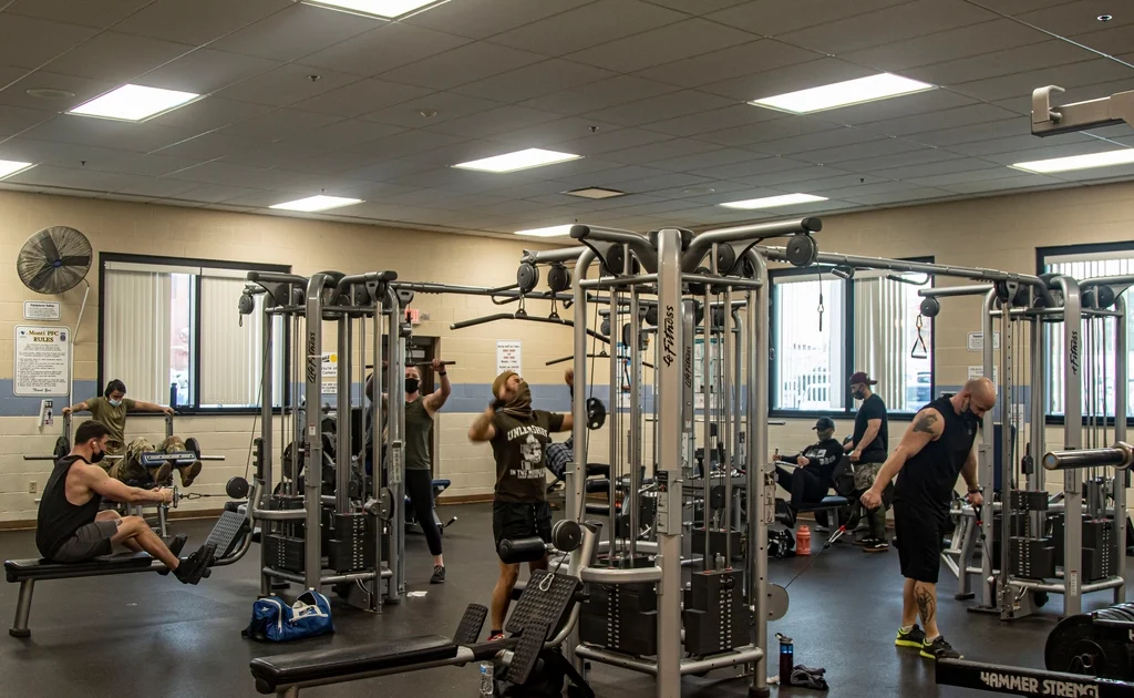 Training Frequency: How Often Should You Train Each Muscle Group?