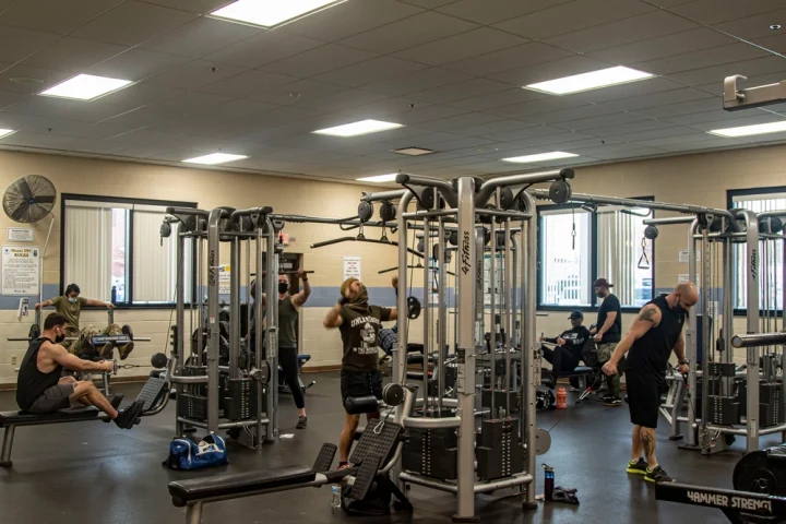 Training Frequency: How Often Should You Train Each Muscle Group?