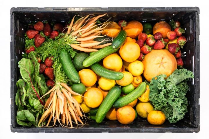Vitamin B12 and Plant-Based Diets: Who’s at Risk and How to Cover It