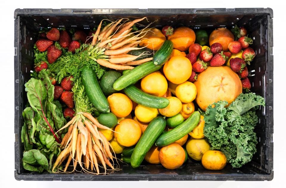 Vitamin B12 and Plant-Based Diets: Who’s at Risk and How to Cover It