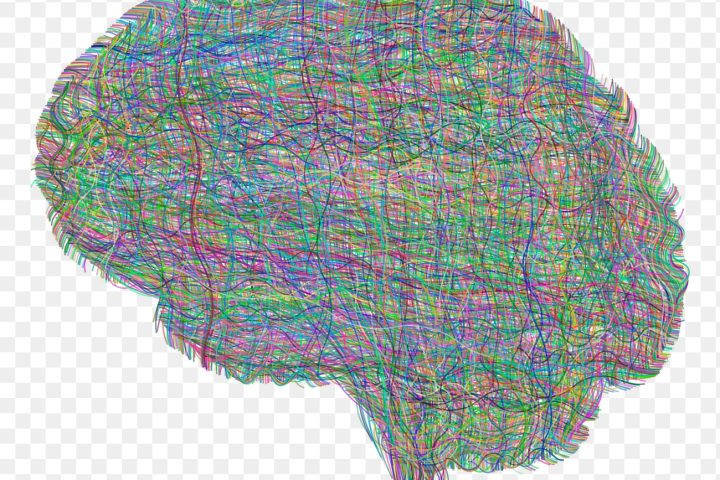 Allostatic Load: How Everyday Micro-Stresses Add Up Over Time