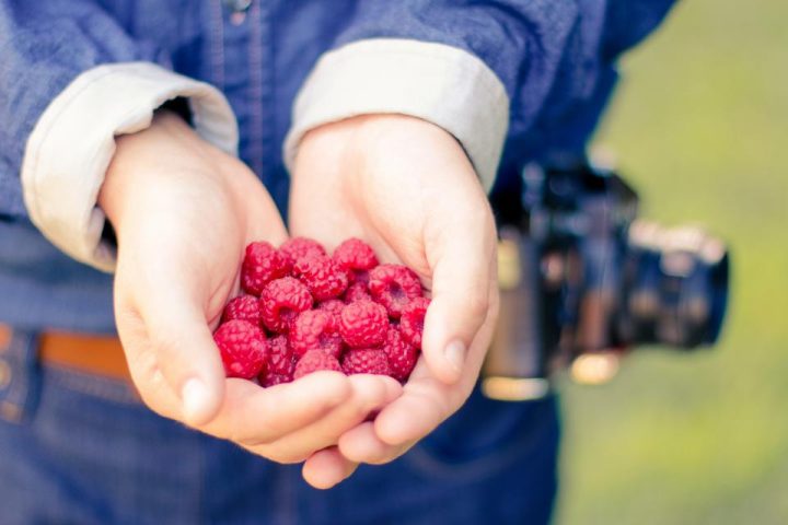 Anti-Inflammatory Eating: What the Term Actually Means Beyond Marketing
