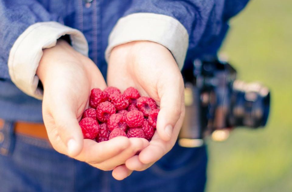 Anti-Inflammatory Eating: What the Term Actually Means Beyond Marketing