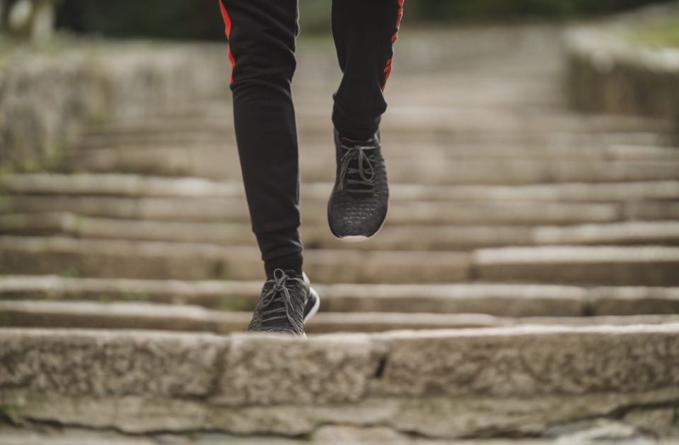 Daily Steps vs Structured Cardio: What the Research Prefers