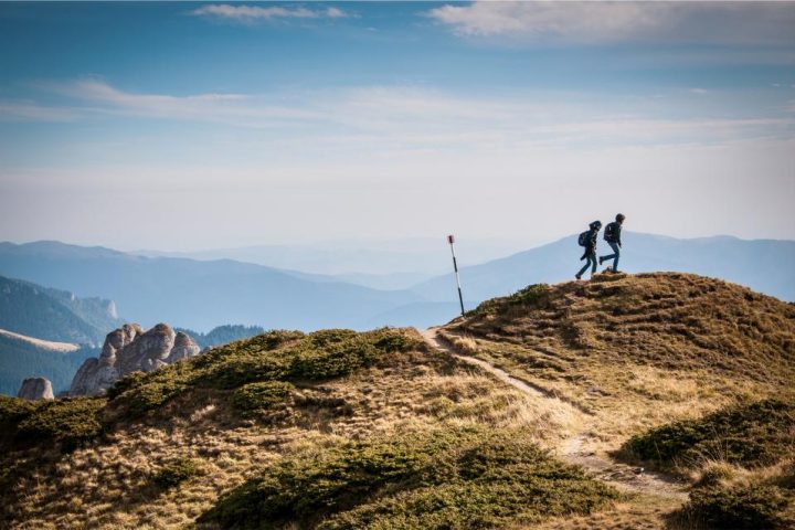 Incline Walking: The Treadmill Setting That Changes the Math
