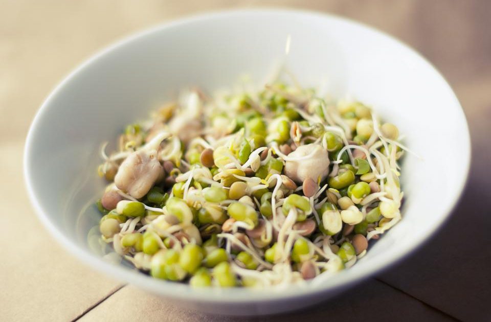 Miso and Fermented Soy Pastes: Umami, Probiotics, and Sodium in One Spoonful