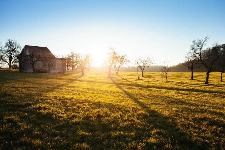 The Cortisol Awakening Response: Why Mornings Feel More Stressful