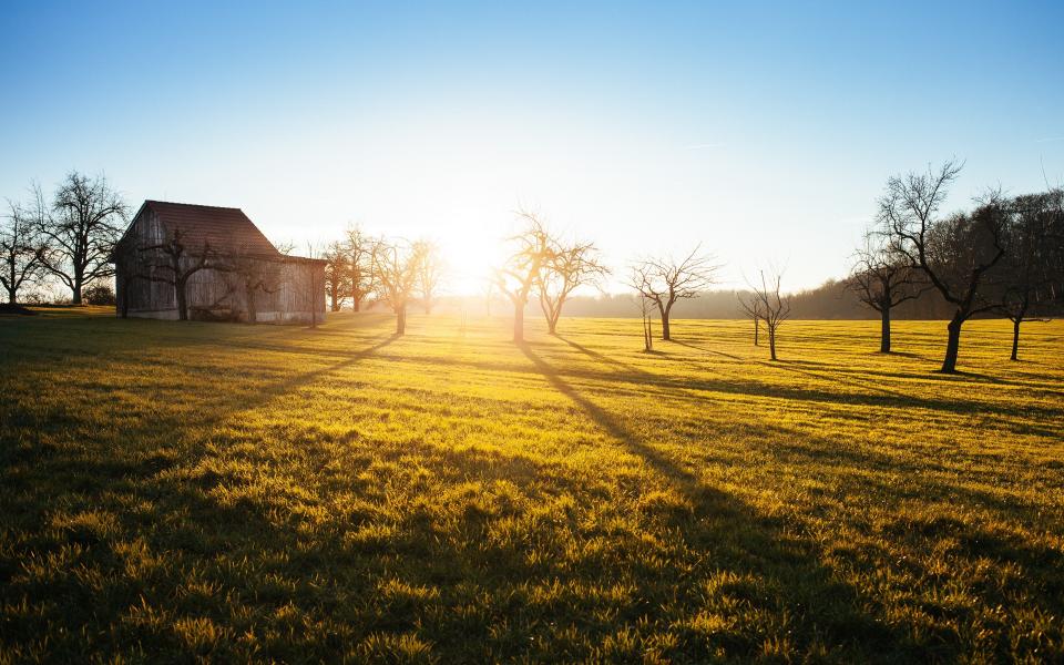The Cortisol Awakening Response: Why Mornings Feel More Stressful